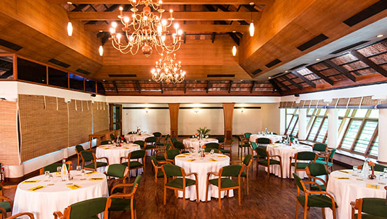 Conference room for business and team meetings at Thekkady hill station